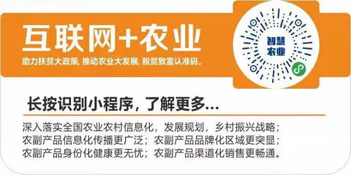 數字翅膀助農飛，互聯網+農業打通鄉村振興新銷路